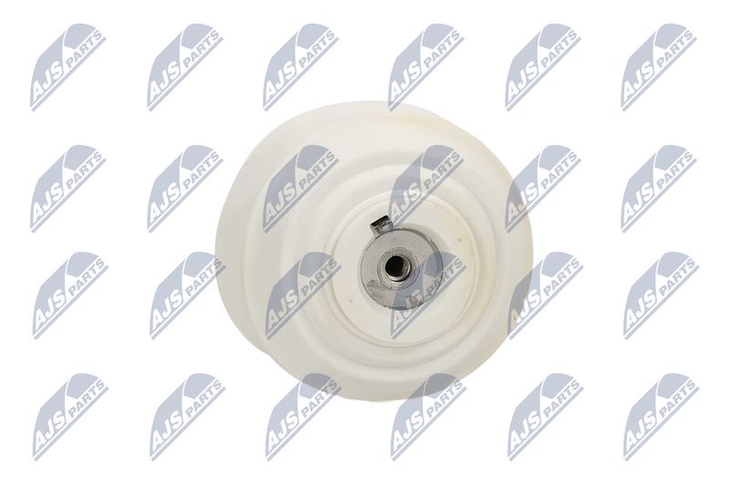 Paigutus, Mootor, NTY ZPS-ME-103