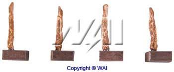WAI szénkefe, önindító BSX218-219