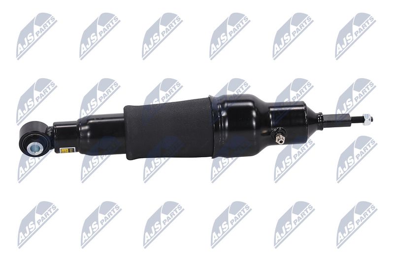 Amort, NTY A-NS-051