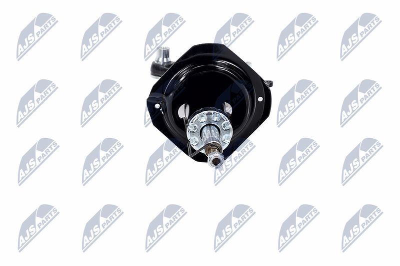 Amort, NTY A-NS-015