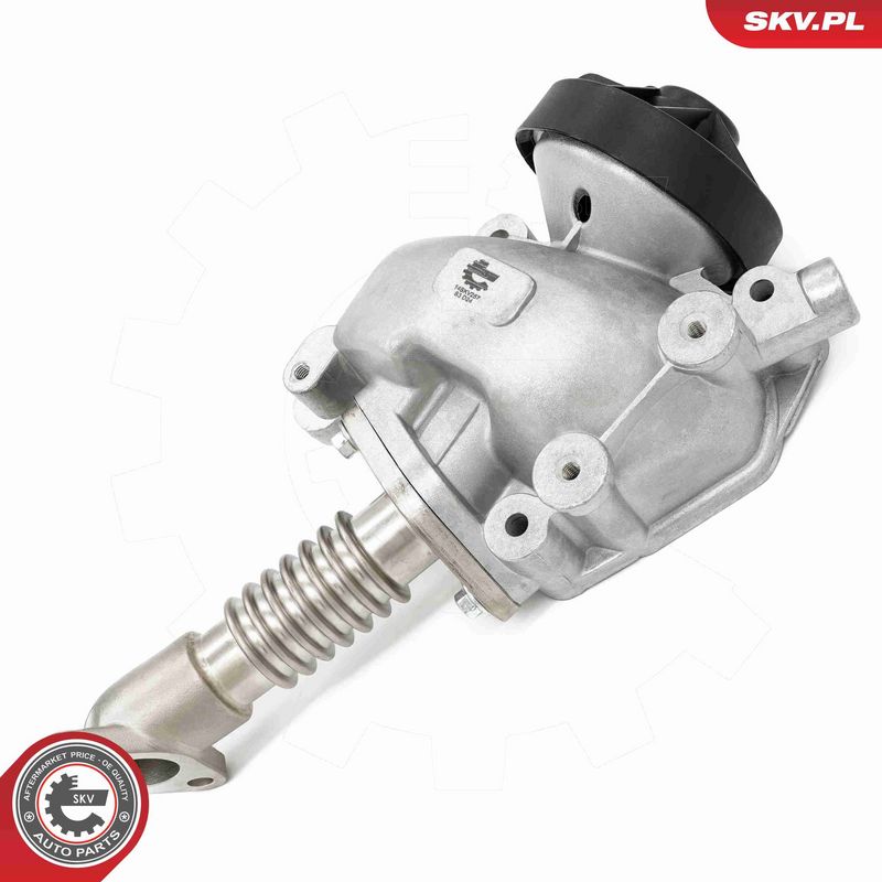 ESEN SKV 14SKV257 EGR Valve
