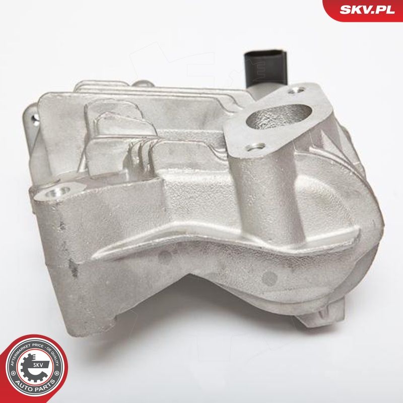 EGR-klapp, ESEN SKV 14SKV036