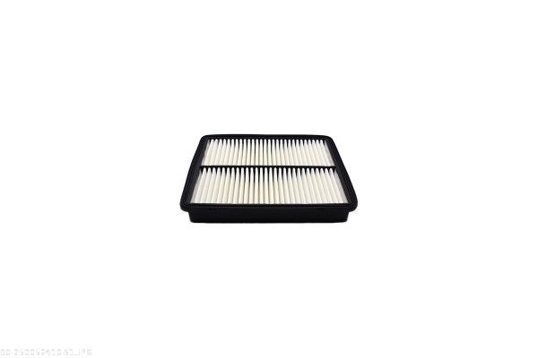 AUTOMEGA 250052410 Oro filtras
