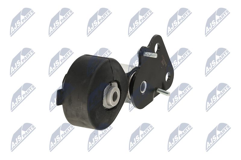 Paigutus, Mootor, NTY ZPS-CH-075