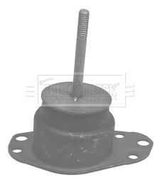 BEM3047_209906.JPG