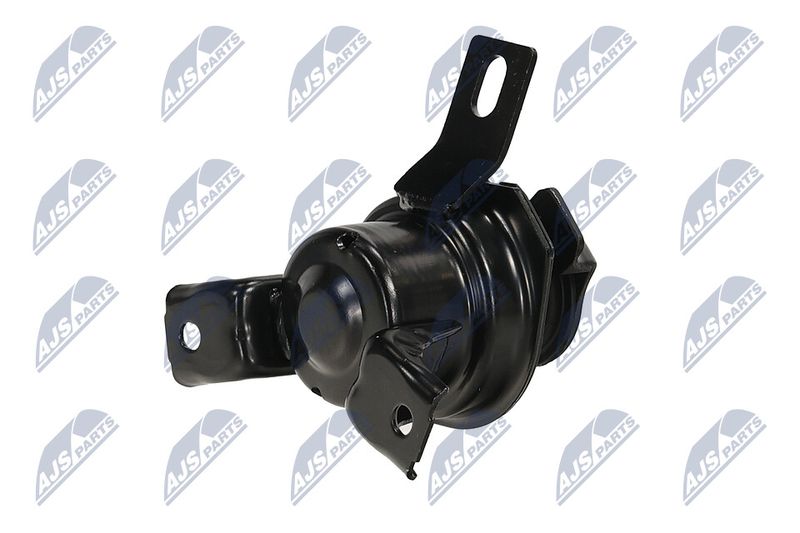 Paigutus, Mootor, NTY ZPS-MS-069
