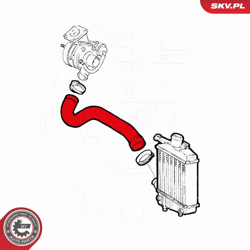 This part match OEM code: 60815539