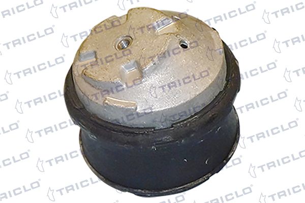 окачване, двигател TRICLO