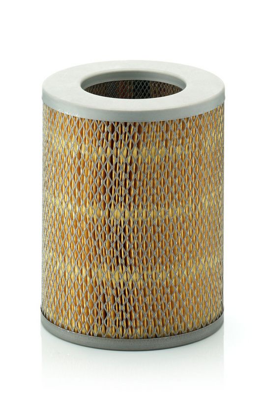 MANN-FILTER C16136 - Oro filtras