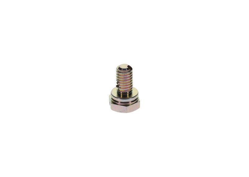 Surub 1 413 453 025 BOSCH