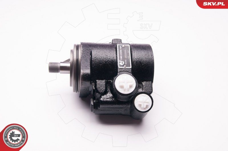 ESEN SKV 1SKV0013 Hydraulic Pump, steering