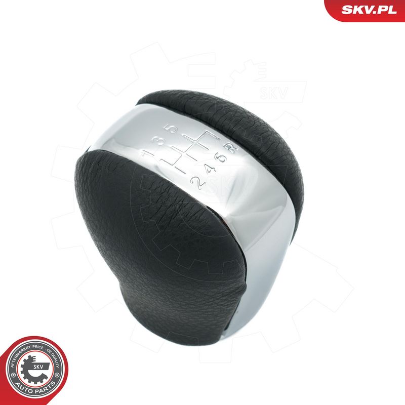 Käigukanginupp, ESEN SKV...