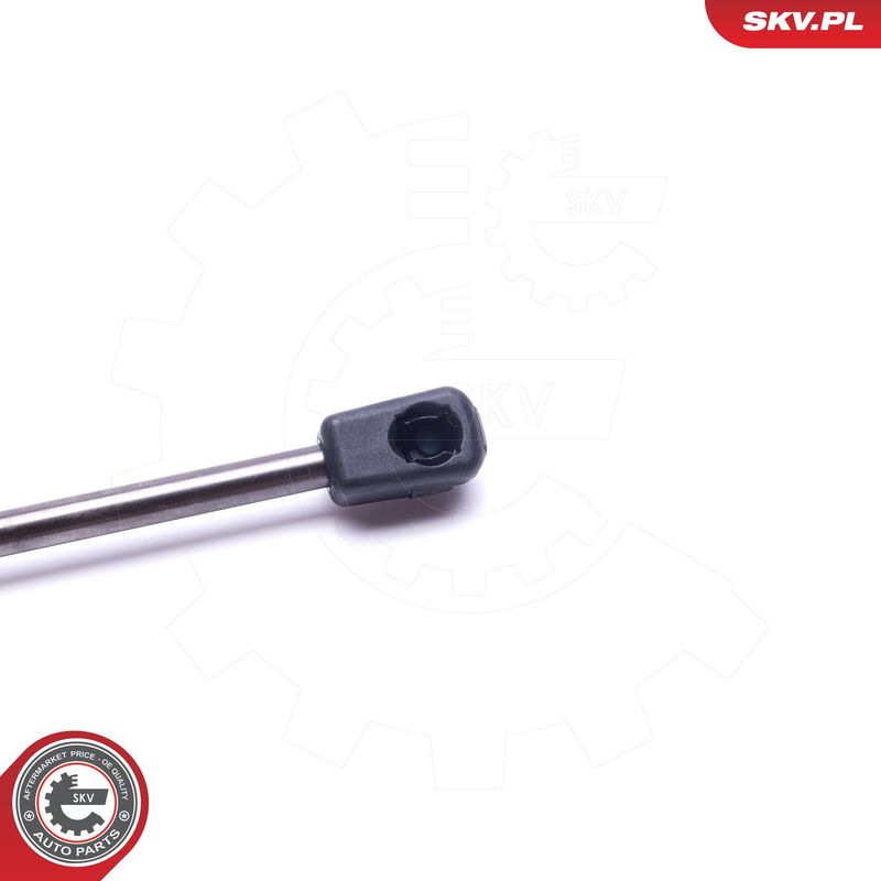 Gaasivedru, pagasi-, veoruum, ESEN SKV 52SKV696