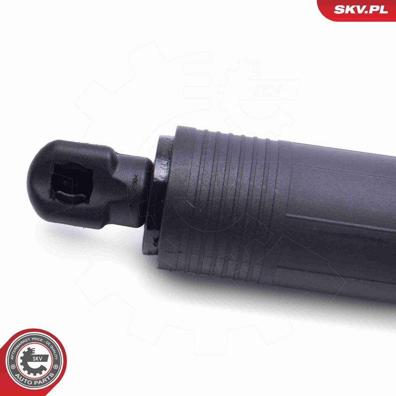 ESEN SKV 52SKV951 Electric Motor, tailgate