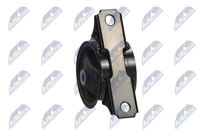 Paigutus, Mootor, NTY ZPS-MS-050