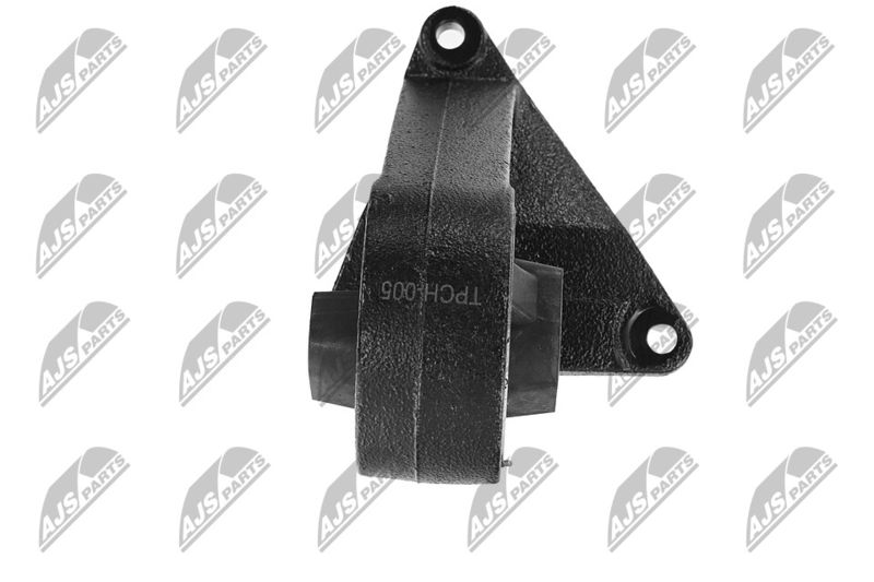 Paigutus, Mootor, NTY ZPS-CH-005