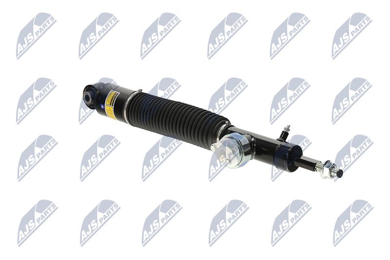 Amort, NTY A-NS-056