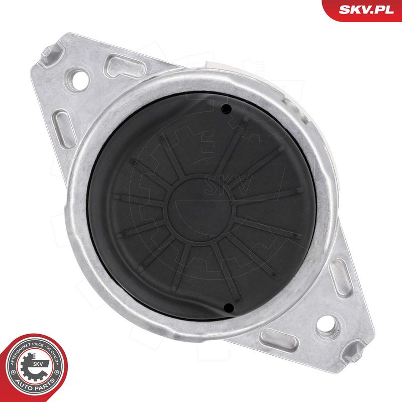 Paigutus, Mootor, ESEN SKV 75SKV122