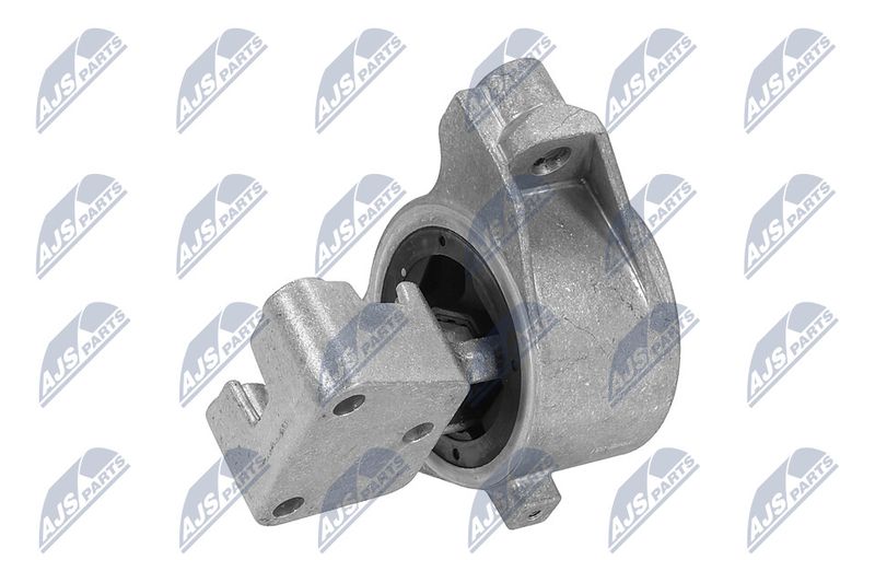 Paigutus, Mootor, NTY ZPS-PE-031