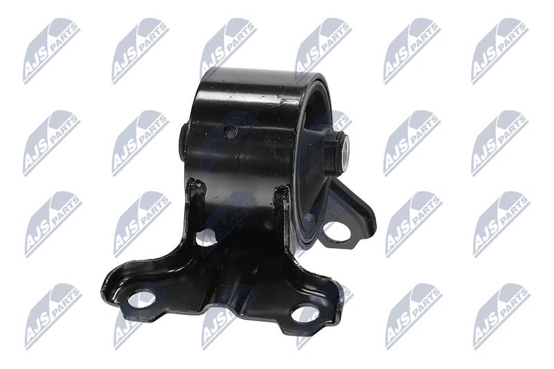 Paigutus, Mootor, NTY ZPS-CH-179