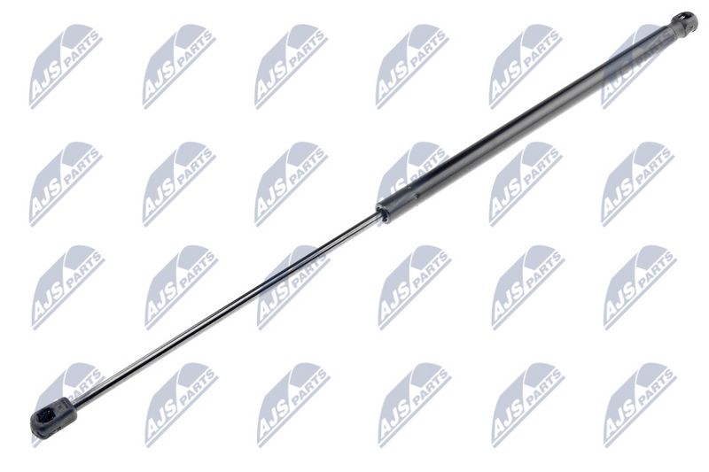 NTY AE-PE-009 Gas Spring, boot/cargo area