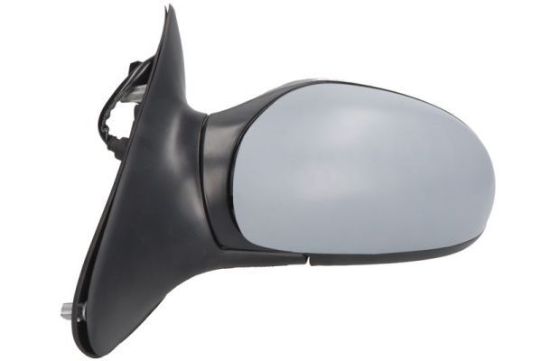 BLIC 5402-04-1125859P Exterior Mirror