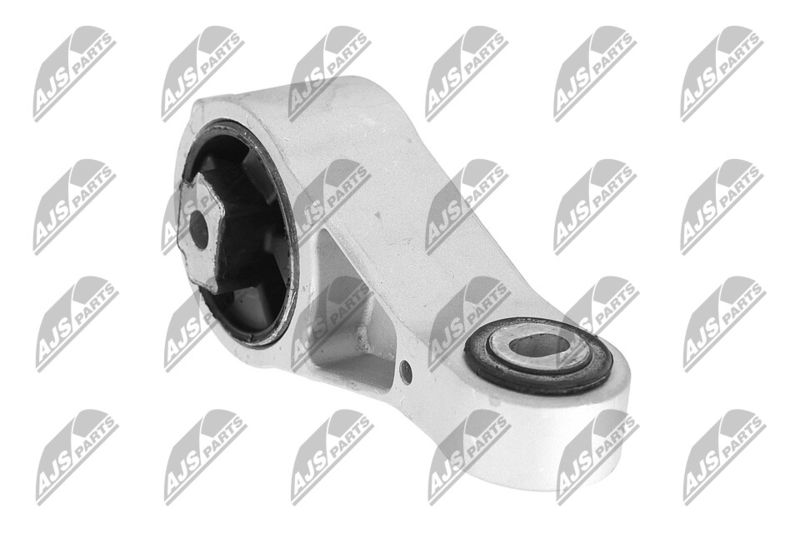 Paigutus, Mootor, NTY ZPS-CH-056