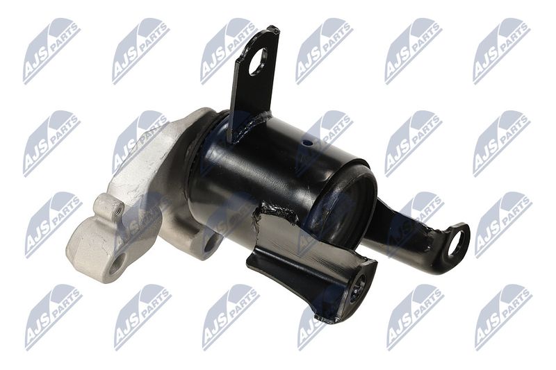 Paigutus, Mootor, NTY ZPS-FR-058