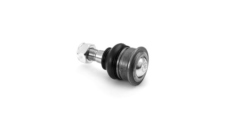 SKF VKDS812005 Šarnyras / girgždukas