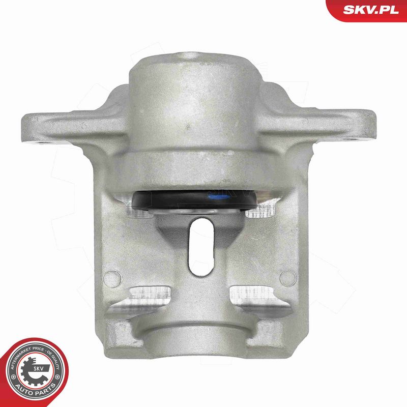 ESEN SKV 74SKV934 Brake Caliper