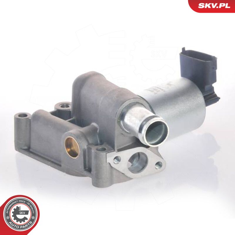 Supapa EGR ESEN SKV 14SKV015