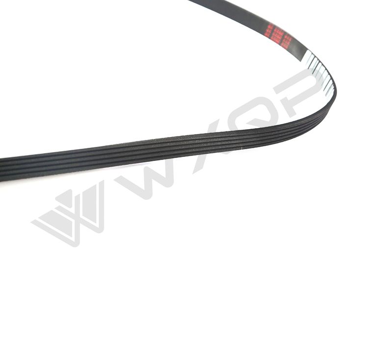 WXQP 515563 V-ribbed Belt