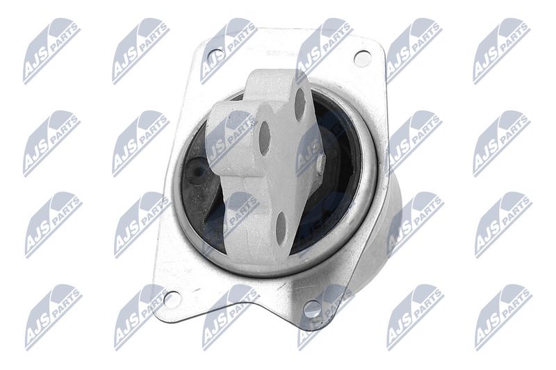 Paigutus, Mootor, NTY ZPS-PL-025