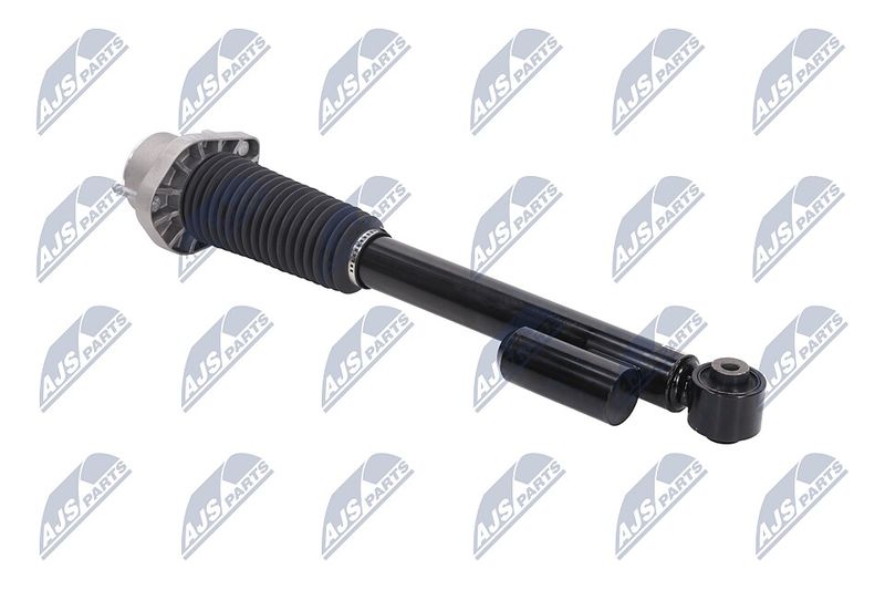 Amort, NTY A-LR-020