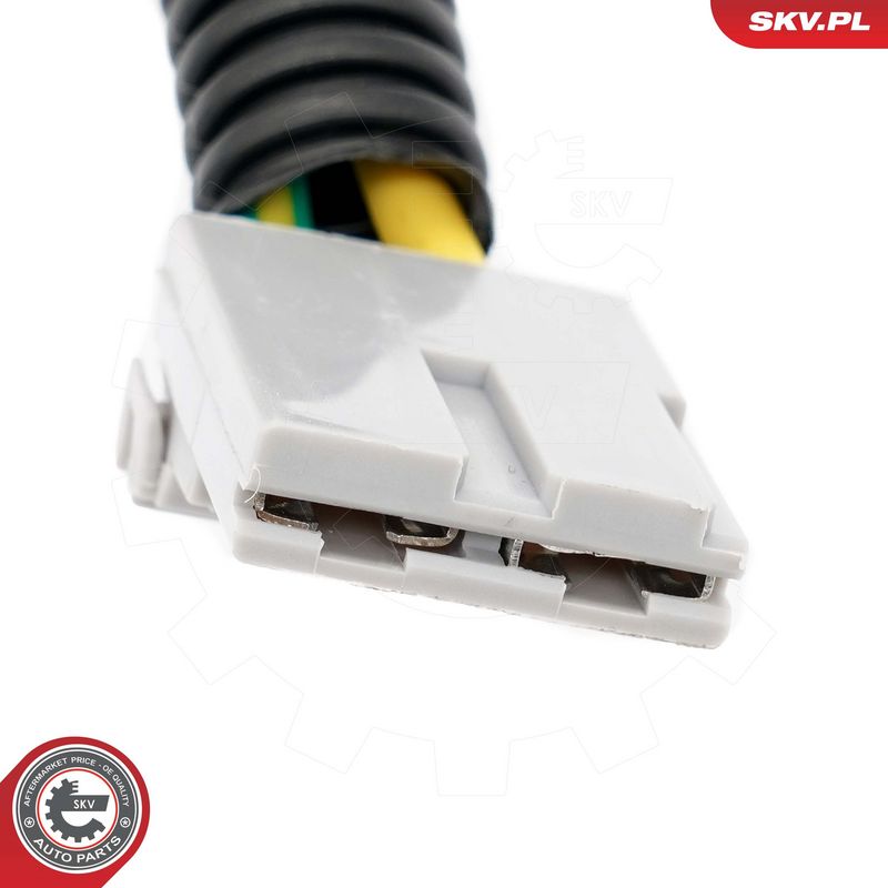 Roolilukk, ESEN SKV 65SKV212