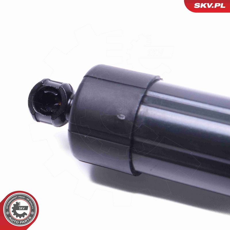 ESEN SKV 52SKV955 Electric Motor, tailgate