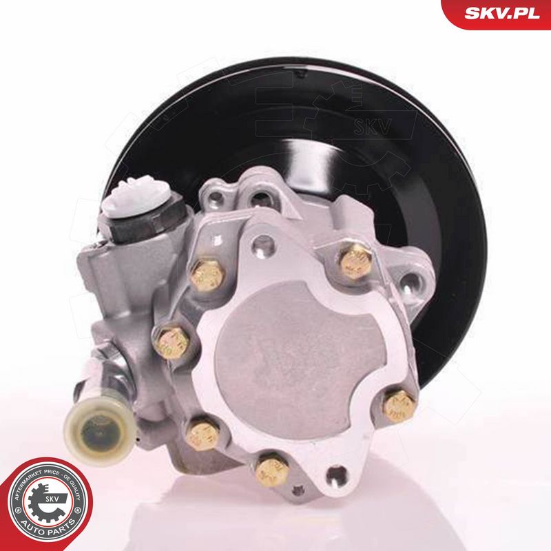 ESEN SKV 10SKV169 Hydraulic Pump, steering