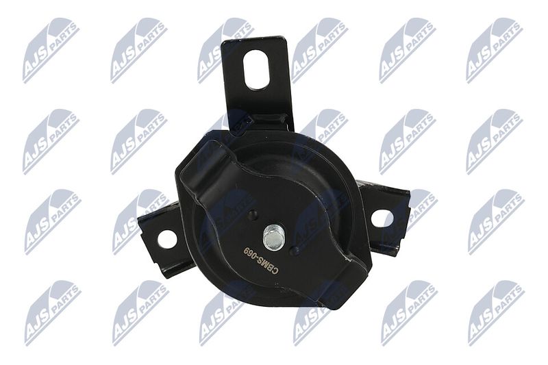 Paigutus, Mootor, NTY ZPS-MS-069