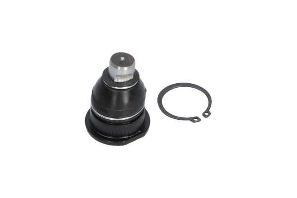 Kavo Parts SBJ-10011 Šarnyras