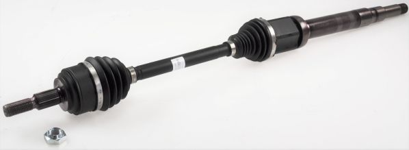 GKND12956A.JPG