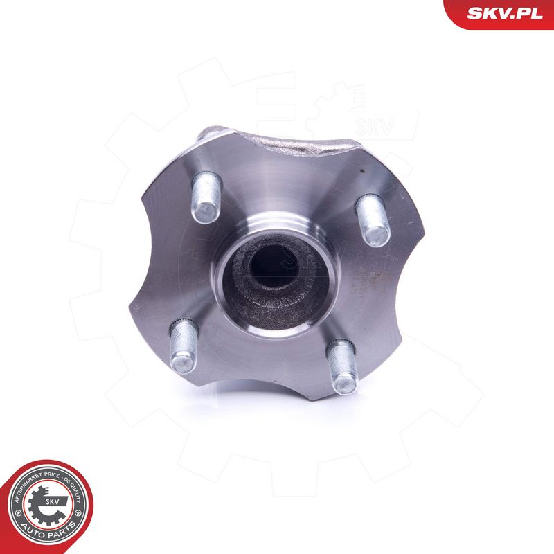 Rattalaagrikomplekt, ESEN SKV 29SKV231