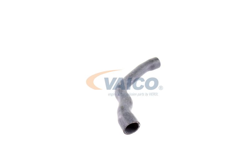 VAICO V30-2099 Radiator Hose