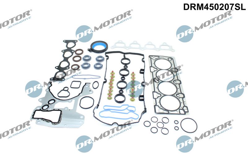 Dr.Motor Automotive Visas tarpiklių komplektas, variklis