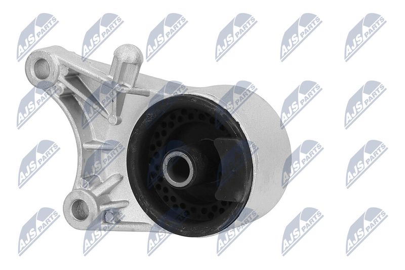 Paigutus, Mootor, NTY ZPS-PL-036