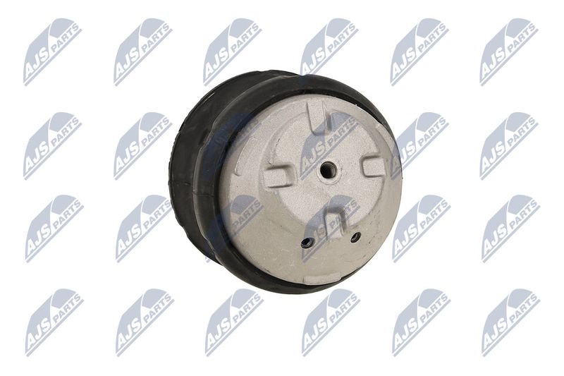 Paigutus, Mootor, NTY ZPS-ME-083