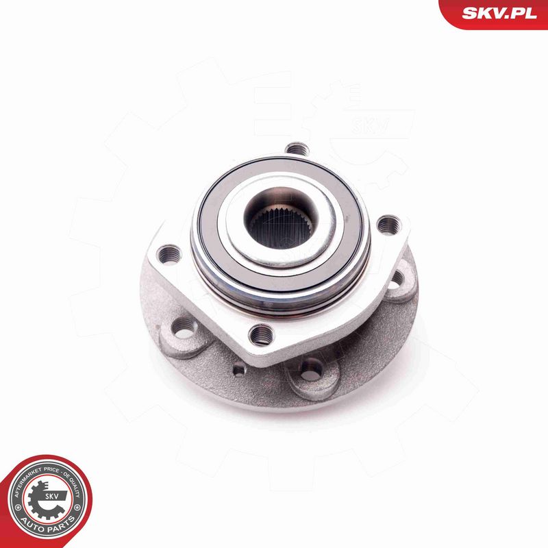 ESEN SKV 29SKV097 Wheel Bearing Kit