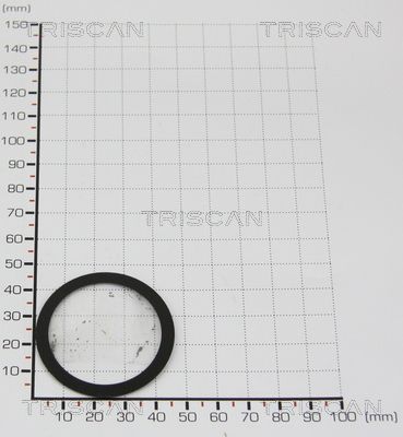 TRIS88139981.JPG
