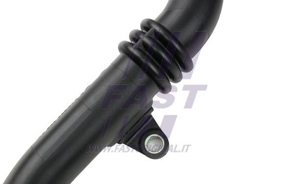 FT65151_4_1.JPG