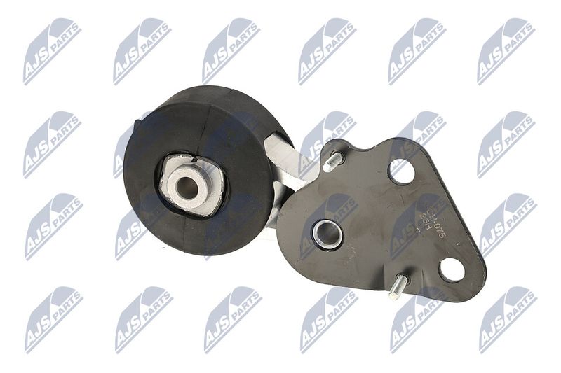 Paigutus, Mootor, NTY ZPS-CH-075