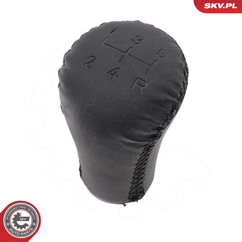 Käigukanginupp, ESEN SKV...